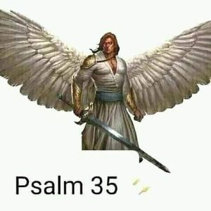 Meet your Posher, Sylvia